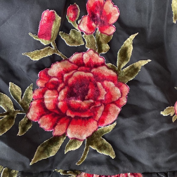 FOREVER 21 Velvet burnout dress - Picture 4 of 7